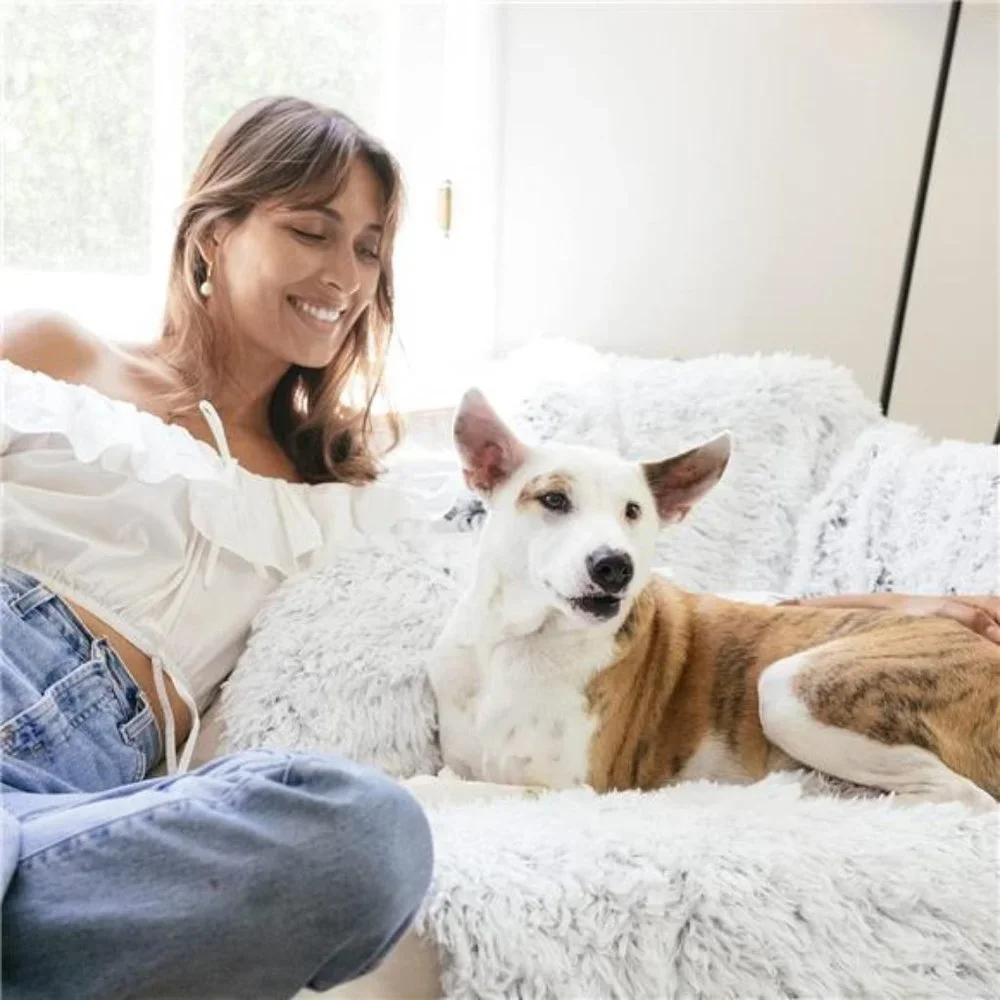 Calming Shag Fur Pet Throw Blanket, Frost, 30